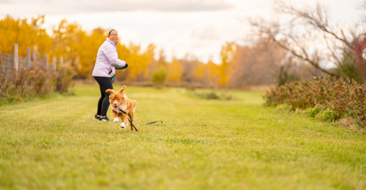 teach-dog-to-play-fetch-playtime-paws-new-puppy-blog-02 A dog runs on a grassy path while a person throws a ball to play fetch in the background. The trees have autumn foliage.
